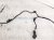 2023 Volkswagen Golf Front Bumper Parking Sensor Harness 5H0 971 104 Q Replacement 2023 Volkswagen Golf Front Bumper Parking Sensor Harness 5H0 971 104 Q Replacement thumbnail