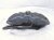 2020 Ford Mustang Front Passenger Brake Caliper JR3C 2010 JB Replacement 2020 Ford Mustang Front Passenger Brake Caliper JR3C 2010 JB Replacement thumbnail