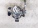 2021 Honda Accord High Pressure Fuel Pump Engine Mtd 06161 5PC 315 Replacement 2021 Honda Accord High Pressure Fuel Pump Engine Mtd 06161 5PC 315 Replacement thumbnail