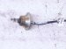 2022 Honda CR V Upper Laf Oxygen Sensor Hybrid 36531 5Y3 J01 Replacement 2022 Honda CR V Upper Laf Oxygen Sensor Hybrid 36531 5Y3 J01 Replacement thumbnail