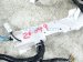 2025 Honda Civic Dash Instrument Wire Harness Type 32117 T60 A00 Replacement 2025 Honda Civic Dash Instrument Wire Harness Type 32117 T60 A00 Replacement thumbnail