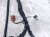2017 Honda Accord Dash Instrument Wire Harness Sport 32117 T2A A43 Replacement 2017 Honda Accord Dash Instrument Wire Harness Sport 32117 T2A A43 Replacement thumbnail