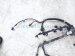 2017 Honda Accord Main Engine Wire Harness Sport 32110 5A2 A74 Replacement 2017 Honda Accord Main Engine Wire Harness Sport 32110 5A2 A74 Replacement thumbnail