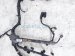 2017 Honda Accord Main Engine Wire Harness Sport 32110 5A2 A74 Replacement 2017 Honda Accord Main Engine Wire Harness Sport 32110 5A2 A74 Replacement thumbnail