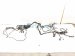2019 Honda Civic Engine Room Harness Si 1.5l Mt 32200 TBF A01 Replacement 2019 Honda Civic Engine Room Harness Si 1.5l Mt 32200 TBF A01 Replacement thumbnail