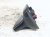 2023 Volkswagen Golf Antenna Roof Mtd Shark Fin Blue 5WA 035 507 C 041 Replacement 2023 Volkswagen Golf Antenna Roof Mtd Shark Fin Blue 5WA 035 507 C 041 Replacement thumbnail