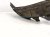 2024 Audi Q5 Audi Front Passenger Inner Fender Liner 80A 821 172 G Replacement 2024 Audi Q5 Audi Front Passenger Inner Fender Liner 80A 821 172 G Replacement thumbnail