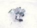 2025 Honda CR V High Pressure Fuel Pump Engine Mtd 06161 5PC 315 Replacement 2025 Honda CR V High Pressure Fuel Pump Engine Mtd 06161 5PC 315 Replacement thumbnail