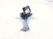 2024 Audi Q5 Audi High Note Horn 80A 951 210 Replacement 2024 Audi Q5 Audi High Note Horn 80A 951 210 Replacement thumbnail