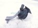 2024 Audi Q5 Audi High Note Horn 80A 951 210 Replacement 2024 Audi Q5 Audi High Note Horn 80A 951 210 Replacement thumbnail