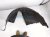 2018 Honda Accord Rear Passenger Inner Fender Liner 74540 TVA A00 Replacement 2018 Honda Accord Rear Passenger Inner Fender Liner 74540 TVA A00 Replacement thumbnail