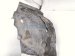 2025 Honda Civic Front Driver Inner Fender Liner 74150 T56 A00 Replacement 2025 Honda Civic Front Driver Inner Fender Liner 74150 T56 A00 Replacement thumbnail