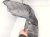 2025 Honda Civic Front Driver Inner Fender Liner 74150 T56 A00 Replacement 2025 Honda Civic Front Driver Inner Fender Liner 74150 T56 A00 Replacement thumbnail