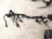 2019 Lexus Es300h Main Engine Wire Harness 2.5l Hyb 82121 33J30 Replacement 2019 Lexus Es300h Main Engine Wire Harness 2.5l Hyb 82121 33J30 Replacement thumbnail