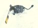 2022 Nissan Frontier Hood Lock / Latch Assy 65601 9BU0A Replacement 2022 Nissan Frontier Hood Lock / Latch Assy 65601 9BU0A Replacement thumbnail