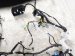 2019 Lexus Es300h Instrument Panel Wire Harness 82141 3YX60 Replacement 2019 Lexus Es300h Instrument Panel Wire Harness 82141 3YX60 Replacement thumbnail