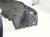 2022 Honda Civic Front Passenger Inner Fender Liner Sdn 74100 T20 A10 Replacement 2022 Honda Civic Front Passenger Inner Fender Liner Sdn 74100 T20 A10 Replacement thumbnail
