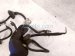 2017 Subaru WRX Bulkhead Wire Harness 81402VA422 Replacement 2017 Subaru WRX Bulkhead Wire Harness 81402VA422 Replacement thumbnail