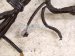 2017 Subaru WRX Bulkhead Wire Harness 81402VA422 Replacement 2017 Subaru WRX Bulkhead Wire Harness 81402VA422 Replacement thumbnail