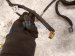 2017 Subaru WRX Bulkhead Wire Harness 81402VA422 Replacement 2017 Subaru WRX Bulkhead Wire Harness 81402VA422 Replacement thumbnail