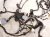 2017 Subaru WRX Bulkhead Wire Harness 81402VA422 Replacement 2017 Subaru WRX Bulkhead Wire Harness 81402VA422 Replacement thumbnail