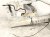 2017 Subaru WRX Driver Apron Frame Rail Cut White 51620VA0619P Replacement 2017 Subaru WRX Driver Apron Frame Rail Cut White 51620VA0619P Replacement thumbnail