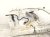 2017 Subaru WRX Driver Apron Frame Rail Cut White 51620VA0619P Replacement 2017 Subaru WRX Driver Apron Frame Rail Cut White 51620VA0619P Replacement thumbnail