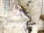 2017 Subaru WRX Driver Apron Frame Rail Cut White 51620VA0619P Replacement 2017 Subaru WRX Driver Apron Frame Rail Cut White 51620VA0619P Replacement thumbnail