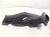 2021 Ford F150 Driver Exhaust Manifold 5.0l FL3Z 9431 A Replacement 2021 Ford F150 Driver Exhaust Manifold 5.0l FL3Z 9431 A Replacement thumbnail