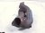 2021 Ford F150 Driver Exhaust Manifold 5.0l FL3Z 9431 A Replacement 2021 Ford F150 Driver Exhaust Manifold 5.0l FL3Z 9431 A Replacement thumbnail