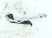 2022 Kia Telluride Ac Hose Pipe A/c Suction & Liquid Line 3.8l Awd 97761 S9000 Replacement 2022 Kia Telluride Ac Hose Pipe A/c Suction & Liquid Line 3.8l Awd 97761 S9000 Replacement thumbnail
