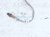 2022 Kia Telluride Right Rear Lower Oxygen Sensor 39210 3LNA0 Replacement 2022 Kia Telluride Right Rear Lower Oxygen Sensor 39210 3LNA0 Replacement thumbnail