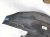 2022 Honda Civic Rear Driver Inner Fender Liner 74590 T20 A10 Replacement 2022 Honda Civic Rear Driver Inner Fender Liner 74590 T20 A10 Replacement thumbnail