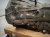 2023 Dodge Ram 1500 Automatic Transmission = 54k Mi 30900 06050 Replacement 2023 Dodge Ram 1500 Automatic Transmission = 54k Mi 30900 06050 Replacement thumbnail