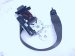 2023 Dodge Ram 1500 Front Driver Seat Belt Black 5KP91X7AI Replacement 2023 Dodge Ram 1500 Front Driver Seat Belt Black 5KP91X7AI Replacement thumbnail