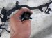 2020 Ford Mustang Main Engine Wire Harness 5.0l At JU5T 12C508 AJ Replacement 2020 Ford Mustang Main Engine Wire Harness 5.0l At JU5T 12C508 AJ Replacement thumbnail