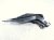 2022 Nissan Frontier Driver Hood Hinge Grey 65401 9BU0A Replacement 2022 Nissan Frontier Driver Hood Hinge Grey 65401 9BU0A Replacement thumbnail