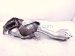 2022 Nissan Frontier Catalytic Passenger Exhaust Converter Pipe 3.8l 4x2 208B2 9BV0A Replacement 2022 Nissan Frontier Catalytic Passenger Exhaust Converter Pipe 3.8l 4x2 208B2 9BV0A Replacement thumbnail