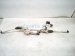 2025 Subaru Forester And / Gear Box Power Steering Rack & Pinion 4532047161 Replacement 2025 Subaru Forester And / Gear Box Power Steering Rack & Pinion 4532047161 Replacement thumbnail