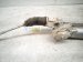 2025 Subaru Forester And / Gear Box Power Steering Rack & Pinion 4532047161 Replacement 2025 Subaru Forester And / Gear Box Power Steering Rack & Pinion 4532047161 Replacement thumbnail