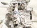 2025 Subaru Forester Long Block Engine / Motor = 36kmi 10103AD141 Replacement 2025 Subaru Forester Long Block Engine / Motor = 36kmi 10103AD141 Replacement thumbnail