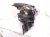 2025 Subaru Forester Headlight Driver Headlamp / Light 84001SL010 Replacement 2025 Subaru Forester Headlight Driver Headlamp / Light 84001SL010 Replacement thumbnail