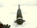 2025 Honda Civic Strut / Spring / Rear Driver Shock Absorber 52670 TVA A02 Replacement 2025 Honda Civic Strut / Spring / Rear Driver Shock Absorber 52670 TVA A02 Replacement thumbnail