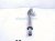 2025 Honda Civic Passenger Intermediate Jack Shaft At 44500 T50 J00 Replacement 2025 Honda Civic Passenger Intermediate Jack Shaft At 44500 T50 J00 Replacement thumbnail