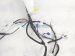 2025 Toyota Corolla Dash Instrument Wire Harness Se 82145 FE082 Replacement 2025 Toyota Corolla Dash Instrument Wire Harness Se 82145 FE082 Replacement thumbnail