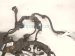 2025 Toyota Corolla Engine Sub Wire Harness 2.0l Se Sdn 82121 0ZZ11 Replacement 2025 Toyota Corolla Engine Sub Wire Harness 2.0l Se Sdn 82121 0ZZ11 Replacement thumbnail