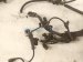 2025 Toyota Corolla Engine Sub Wire Harness 2.0l Se Sdn 82121 0ZZ11 Replacement 2025 Toyota Corolla Engine Sub Wire Harness 2.0l Se Sdn 82121 0ZZ11 Replacement thumbnail