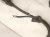 2025 Toyota Corolla Engine Sub Wire Harness 2.0l Se Sdn 82121 0ZZ11 Replacement 2025 Toyota Corolla Engine Sub Wire Harness 2.0l Se Sdn 82121 0ZZ11 Replacement thumbnail