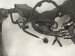 2025 Toyota Corolla Engine Room Harness W/fuse 2.0l Fwd 82111 FEQ21 Replacement 2025 Toyota Corolla Engine Room Harness W/fuse 2.0l Fwd 82111 FEQ21 Replacement thumbnail