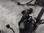 2023 Nissan Rogue Engine Harness W/fuse 1.5l Fwd 24011 6RR0C Replacement 2023 Nissan Rogue Engine Harness W/fuse 1.5l Fwd 24011 6RR0C Replacement thumbnail